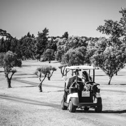Wedding Transport Comes In All Shapes And Sizes